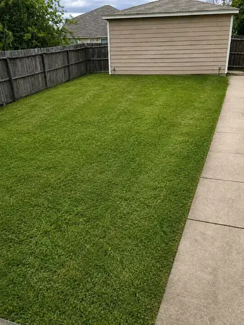 Lawn After Cutting